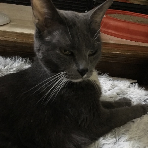 Meet your Posher, Gabby - Picture 6 of 8